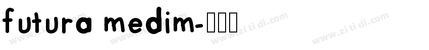 futura medim字体转换